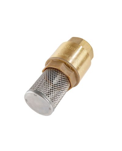 FOOT VALVE+STAINLESS STEEL FILTER F1