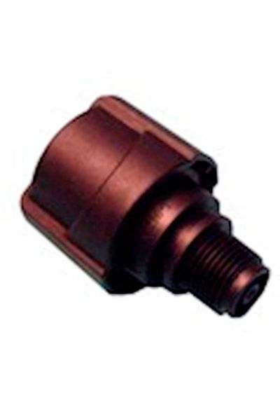 SBL 17204